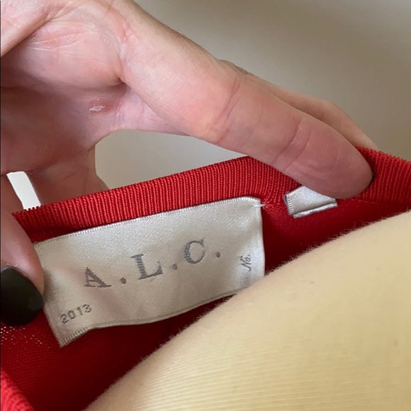 A.L.C. Seamed Panel Flare Dress - Picture 4 of 5